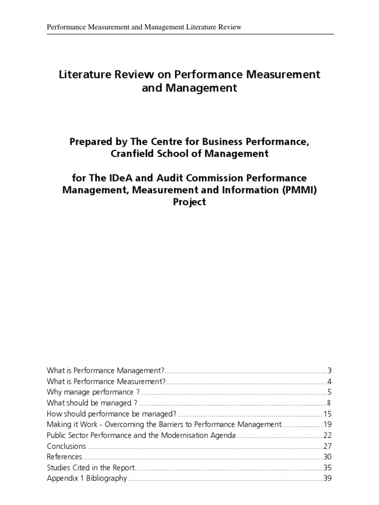 Literature review format picture