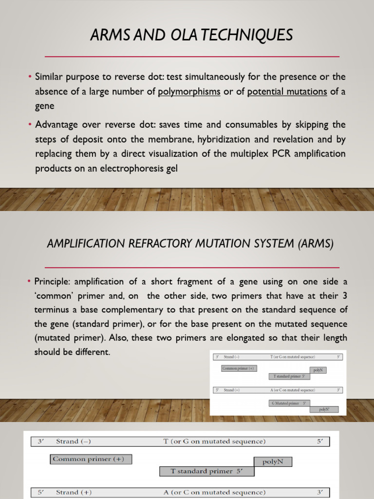 Turkish Airlines visual data 2