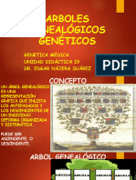 ÁRBOLES GENEALÓGICO 