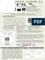 Infografia Evolucion Humana Ilustrado Colores Neutrales