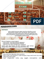 1A Ayam - MKE Manajemen Hewan Laboratorium - Compressed