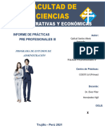 Informe de Pp-Alexis