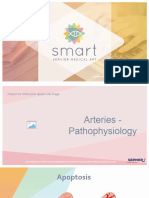Arteries Pathophysiology