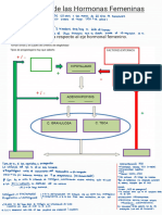 TP FarmacologÃa de Las Hormonas Femeninas