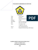 Laporan Praktikum Mikrobiologi Industri Kapang