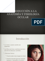 Capitulo 1 Anatomia Ocular