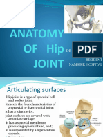 Anatomy of Hip Joint