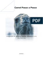 Camel Passo A Passo v20 Beta1
