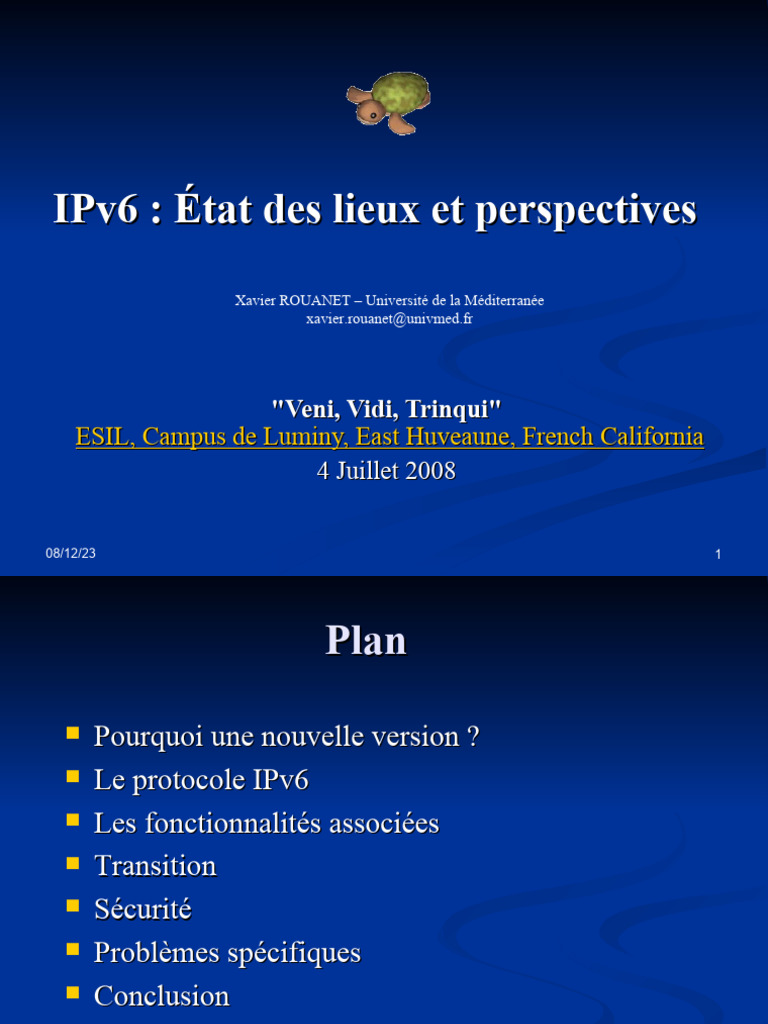 État des lieux d'IPv6 et perspectives | PDF | I Pv6 | Informatique