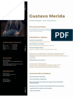 Gustavo Merida C.V