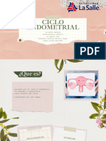 Ciclo Endometrial