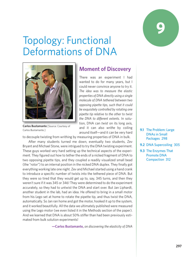 C9 Topology Functional Deformations of DNA | PDF | Dna | Chromosome