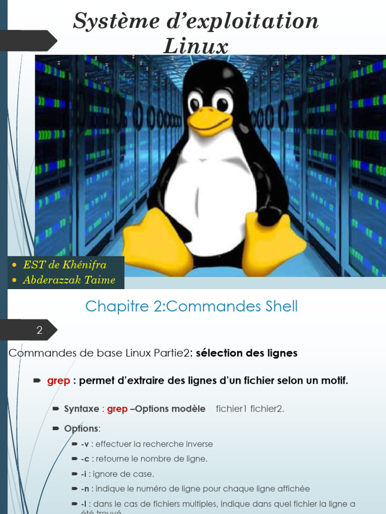 Commandes Shell et Gestion des Processus Linux | PDF | Processus ...
