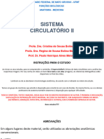 Sistema Circulatório II