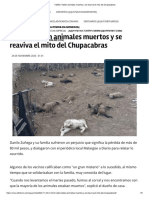 VIDEO. Hallan Animales Muertos y Se Reaviva El Mito Del Chupacabras El Tribuno