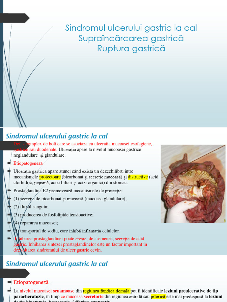 Curs 2 | PDF