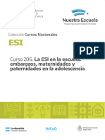 Curso 206 La ESI en La Escuela: Embarazos, Maternidades y Paternidades en La Adolescencia