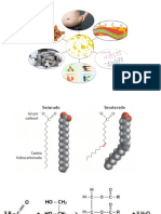 Bioquímica Clínica de Lipídeos Novo