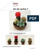 Coleccin de Cactus 1