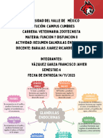 Mapa Sobre Glandulas Endocrinas