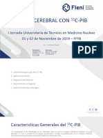 Presentacion 11C-PIB FLENI