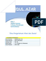 Modul Ajar Ipas - rhk3