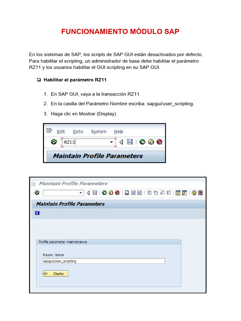 Habilitar Rocketbot en SAP | PDF | Ciencias de la Computación ...