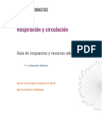 Respiración y Circulación - Guía de Respuestas y Recursos