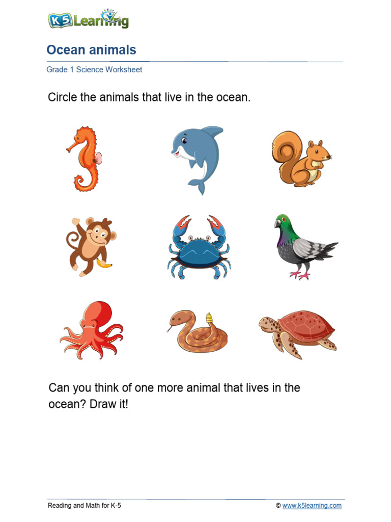 Grade 1 Ocean Forest Farm Desert Habitat A PDF