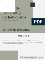 Síntesis de Proteínas y Carbohidratos