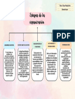 Etapas de La Organización