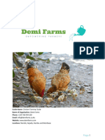 Chicken Farming Guide by Demi Farms