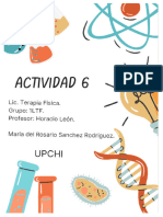 Actividad 06