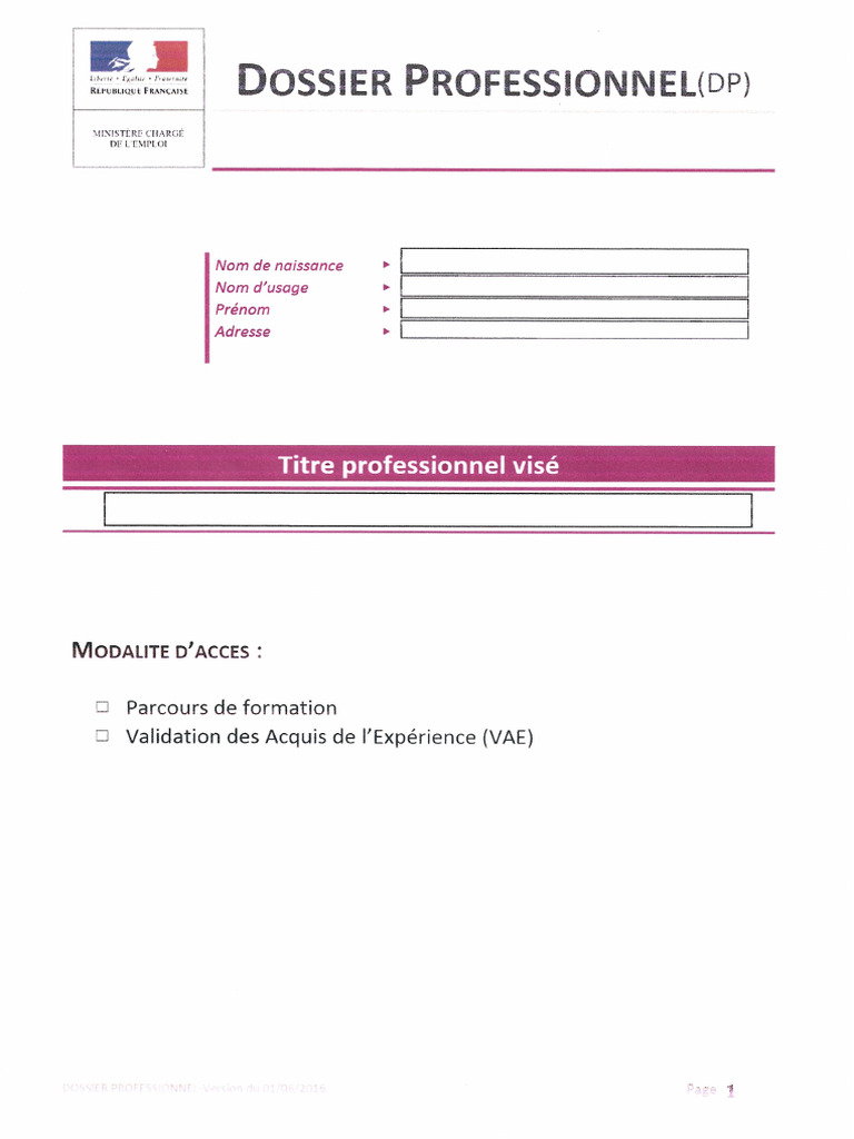 comment remplir un dossier professionnel (dp)