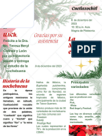 Triptico Nochebuena RCM