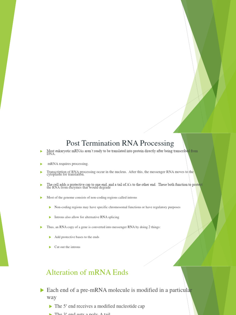 Rna processing pdf