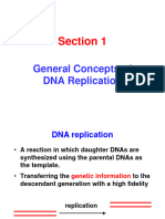 DNA Replication Final