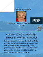 Patricia Benner Updated