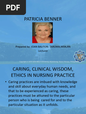 洋書 Expertise in Nursing Practice/Benner Expertise in Nursing Practice: Caring, Clinical Judgment and