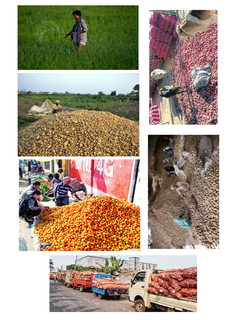 Bumper Production Pics PDF