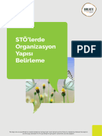 Organizasyon Yapisi Infonote-1