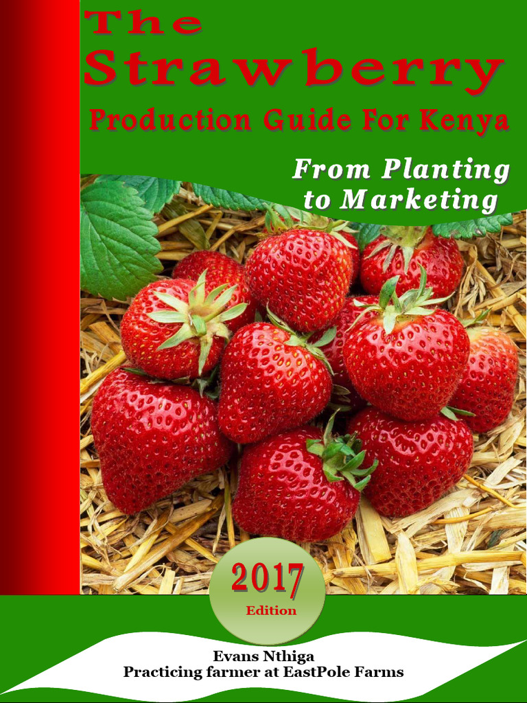 Strawberry Production Guide PDF PDF Strawberry Mulch
