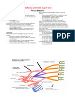 Fiche Innervation SupÃ©rieure Copie