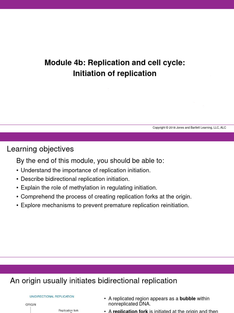 Module+4b | PDF | Dna Replication | Dna Methylation