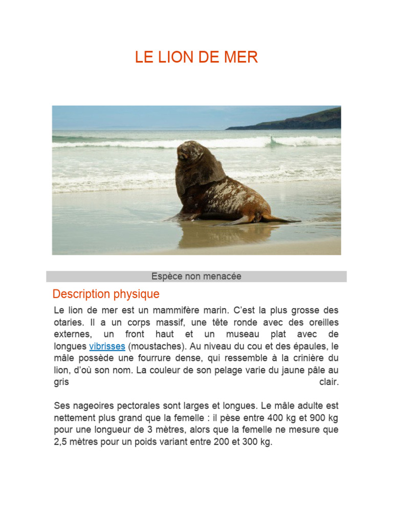 Caractéristiques du lion de mer | PDF | Lion | Faune