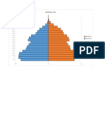 Datos Piramide en Excel
