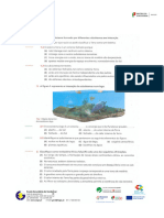 Ficha de Trabalho - Geologia 10º Ano