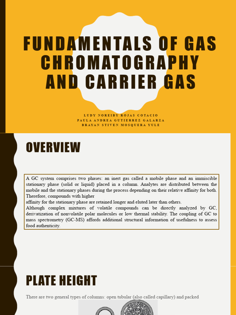 Gas Chromatography Fundamentals | PDF | Gas Chromatography | Chromatography