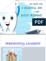 Periodontal Ligament