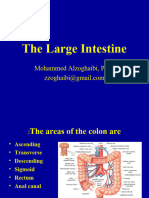 10 L 11, The Large Intestine.